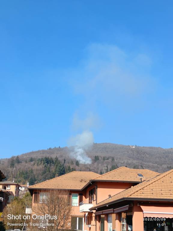Incendio boschivo a Marchirolo