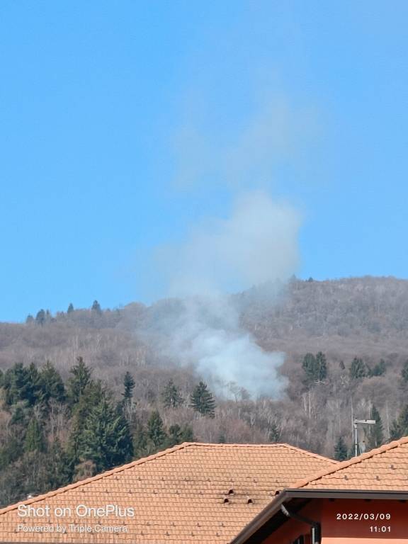 Incendio boschivo a Marchirolo