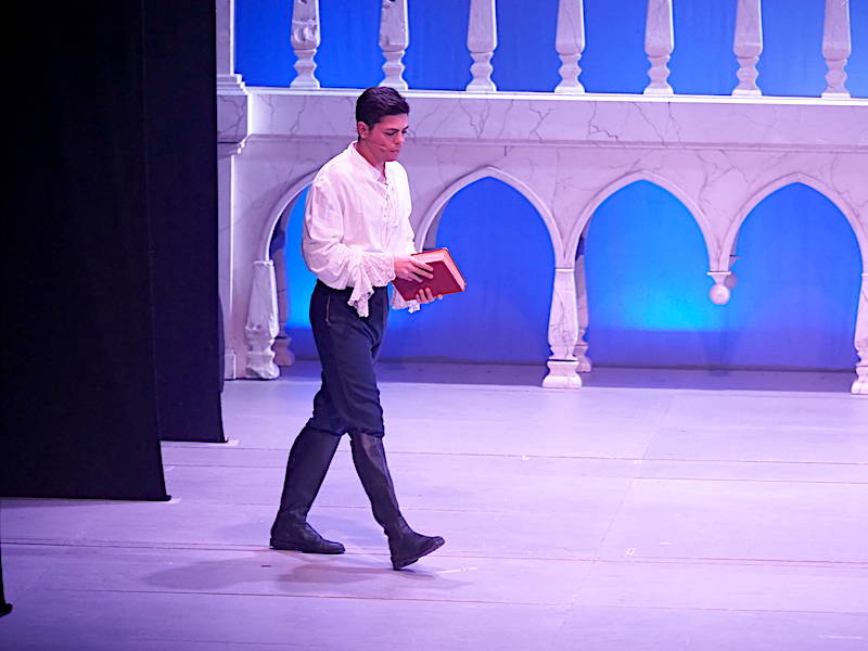 Cenerentola, il musical in scena a Varese