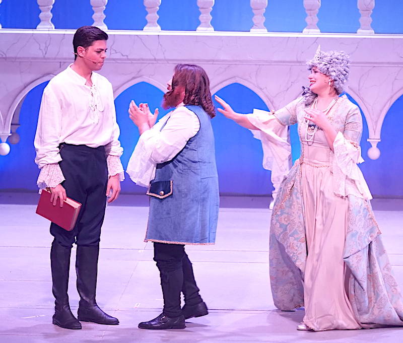 Cenerentola, il musical in scena a Varese