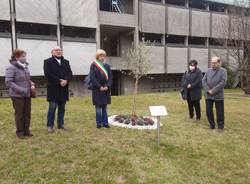 cerimonia ricordo vittime covid 2022 cimitero castellanza