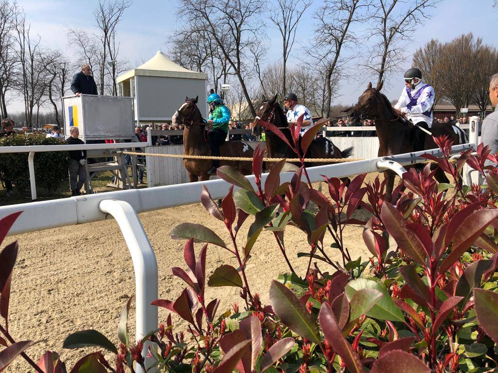Corse a pelo Palio di Legnano