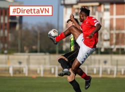 diretta calcio varese