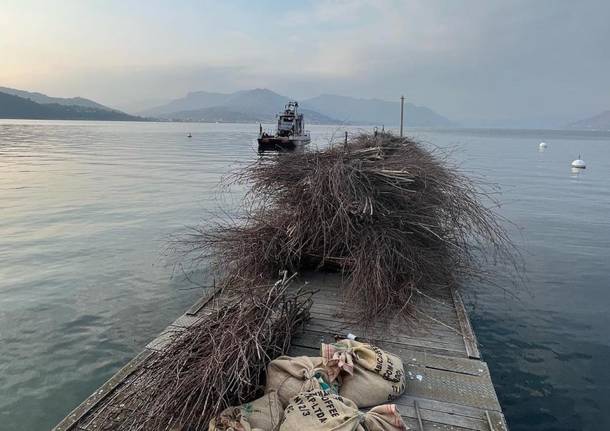 fascine riproduzione pesce persico lago maggiore pescatori alto verbano