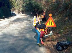 Giornate di pulizia con Strade Pulite a Luino