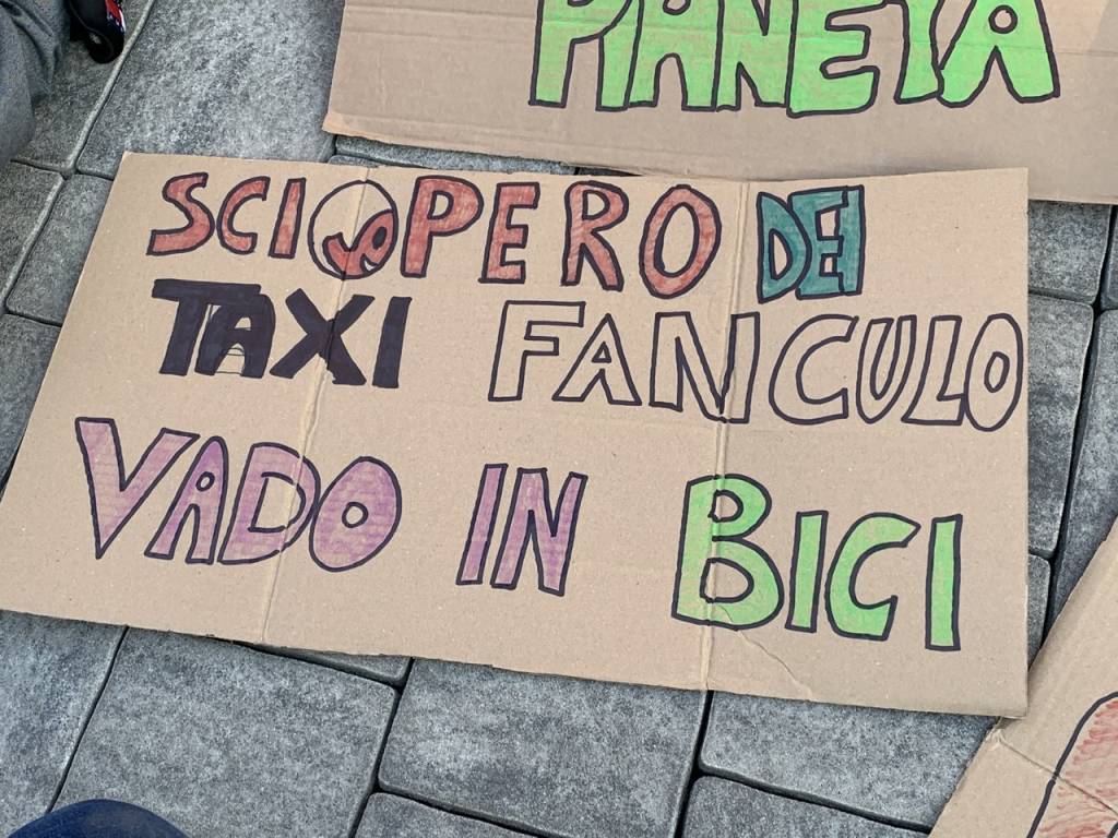 Giovani e cartelli colorati nel corteo di Fridays for Future a Varese