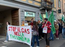 Giovani e cartelli colorati nel corteo di Fridays for Future a Varese