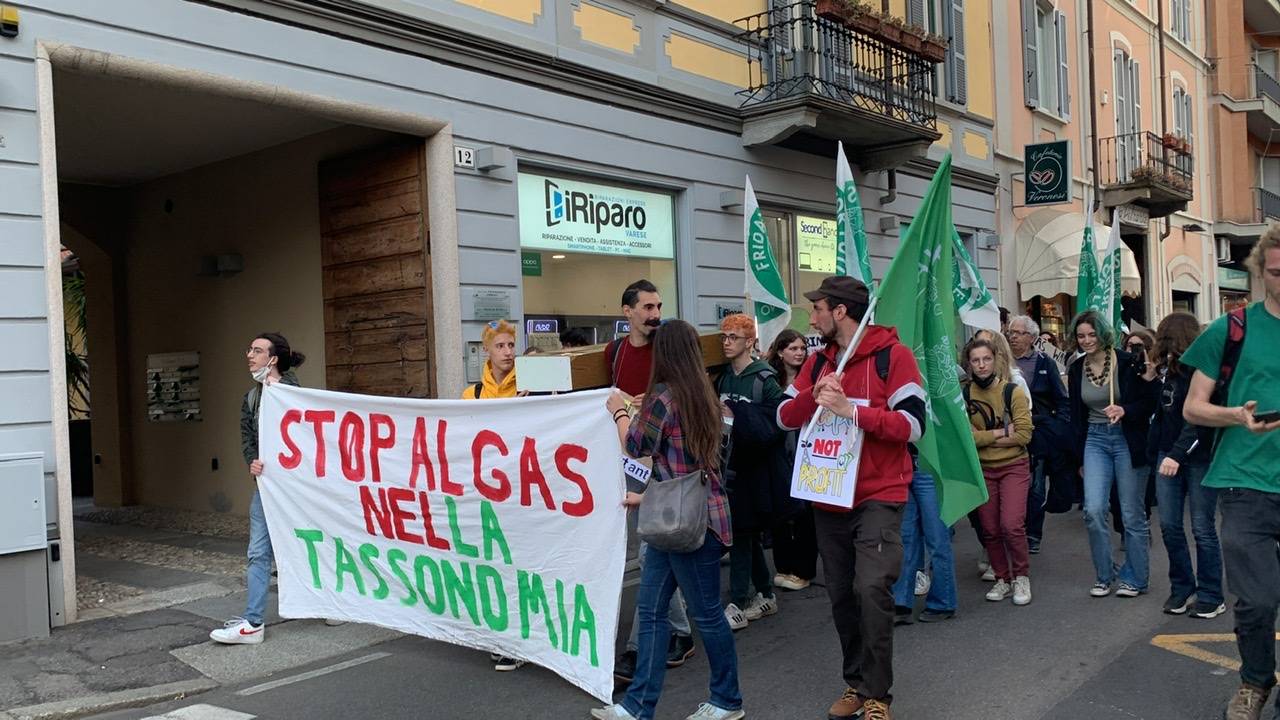 Giovani e cartelli colorati nel corteo di Fridays for Future a Varese