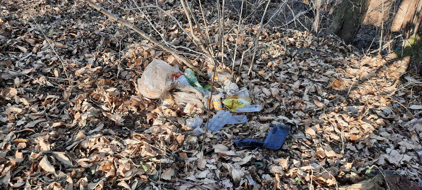 I resti dell'accampamento abbandonato nei boschi tra Arcisate e Cantello