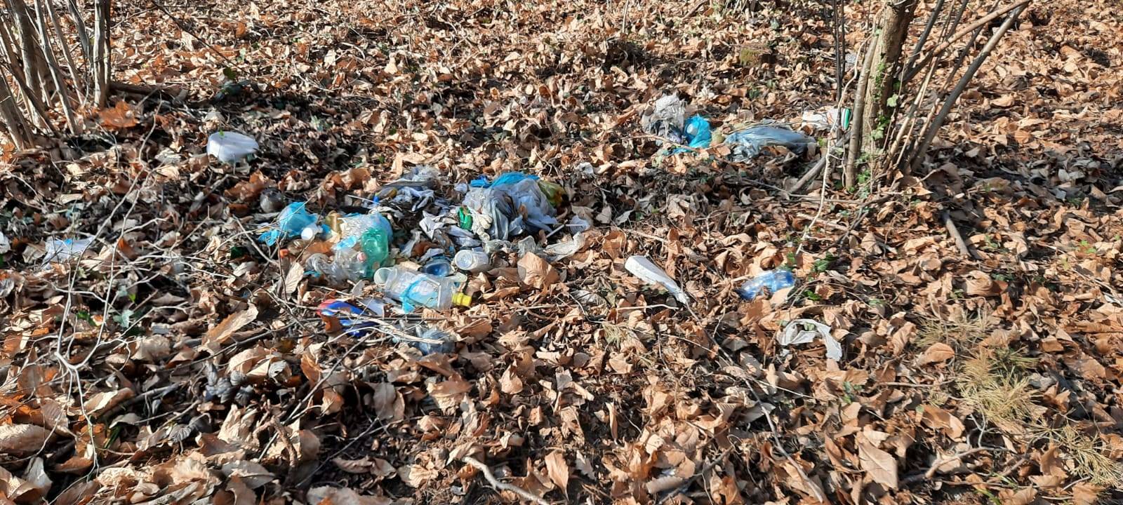 I resti dell'accampamento abbandonato nei boschi tra Arcisate e Cantello