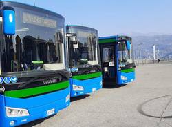 I sette nuovi autobus di Luino