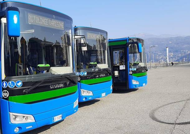 I sette nuovi autobus di Luino