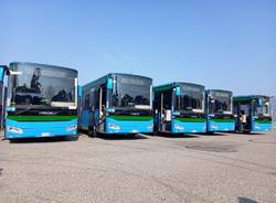 I sette nuovi autobus di Luino