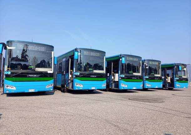 I sette nuovi autobus di Luino