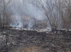 Incendio a Turbigo - A fuoco 6mila metri quadri di bosco