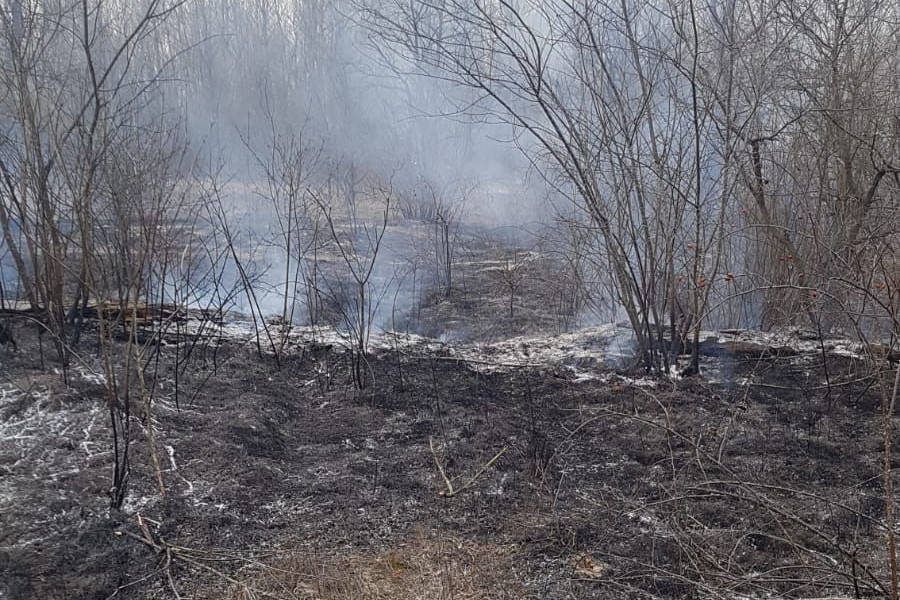 Incendio a Turbigo - A fuoco 6mila metri quadri di bosco