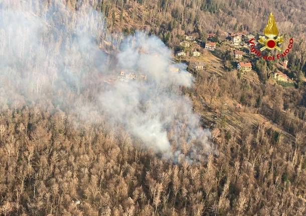 Incendio boschi Montegrino 