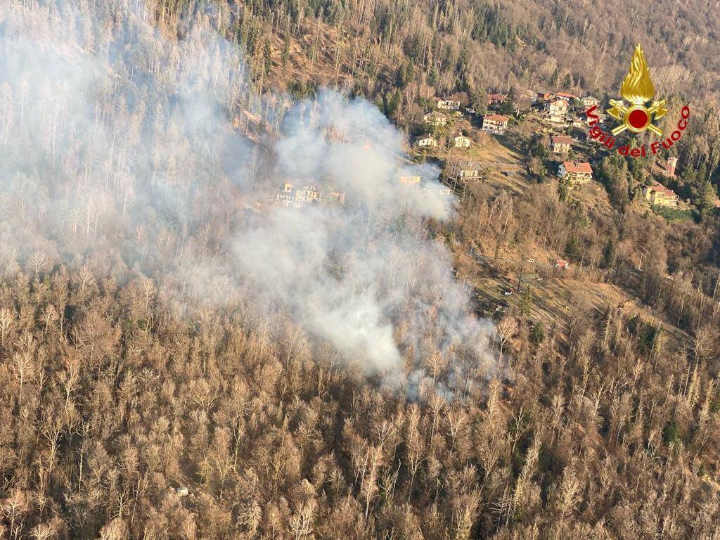 Incendio boschi Montegrino 