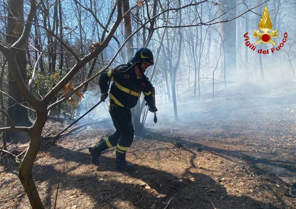 incendio poggio luvinate