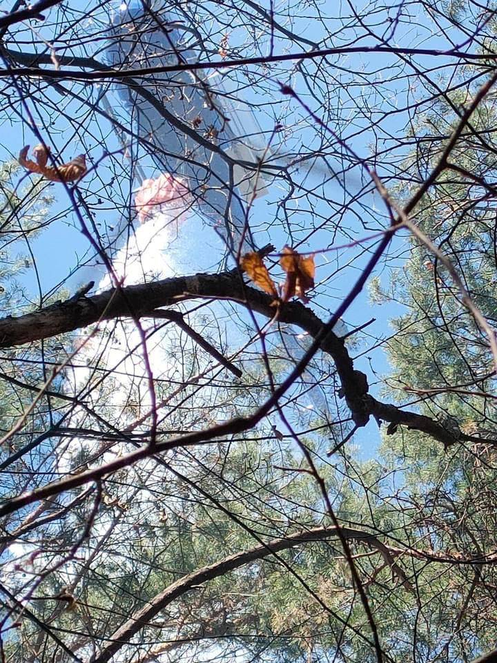 incendio poggio luvinate