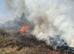 incendio sterpaglie busto garolfo