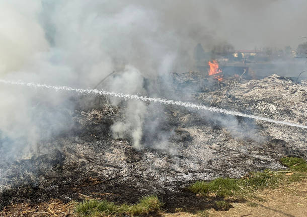 incendio sterpaglie busto garolfo