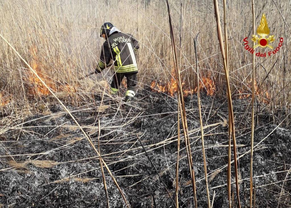 Incendio torbiera Laveno 