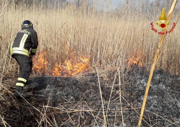 Incendio torbiera Laveno 