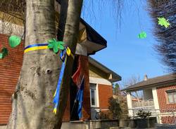 L'albero dei giusti alla primaria di cazzago brabbia