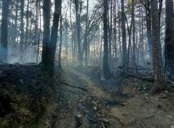 L'incendio nei boschi di Cuirone