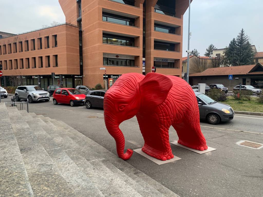 La cracking art a Gallarate