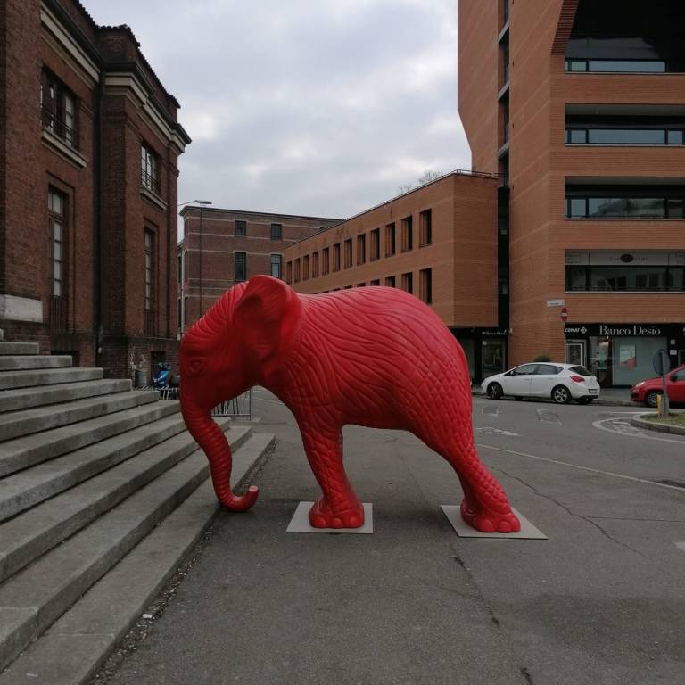 La cracking art a Gallarate