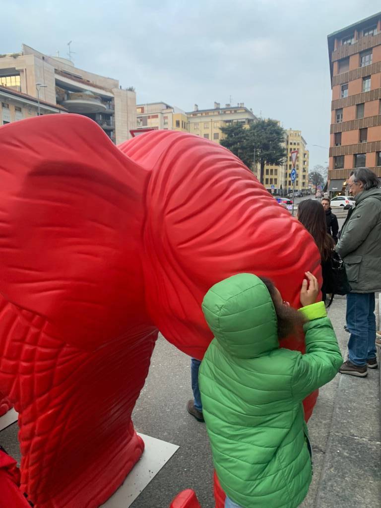 La cracking art a Gallarate