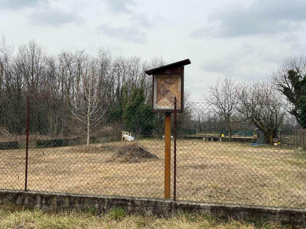 madonna regina busto arsizio