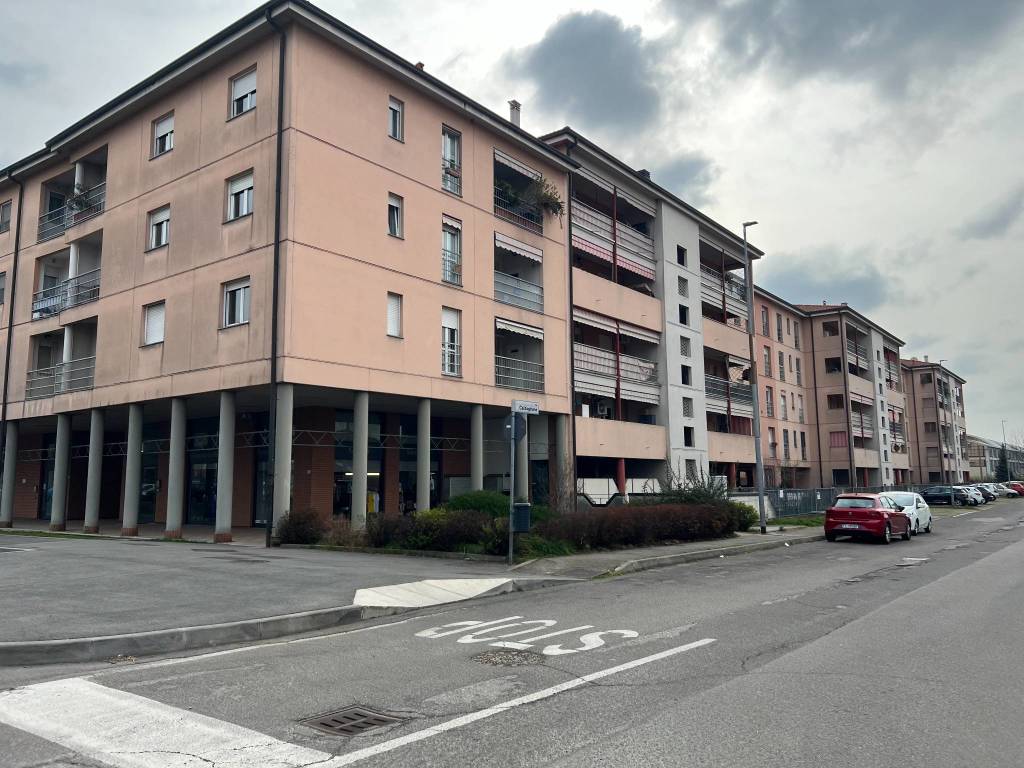 madonna regina busto arsizio