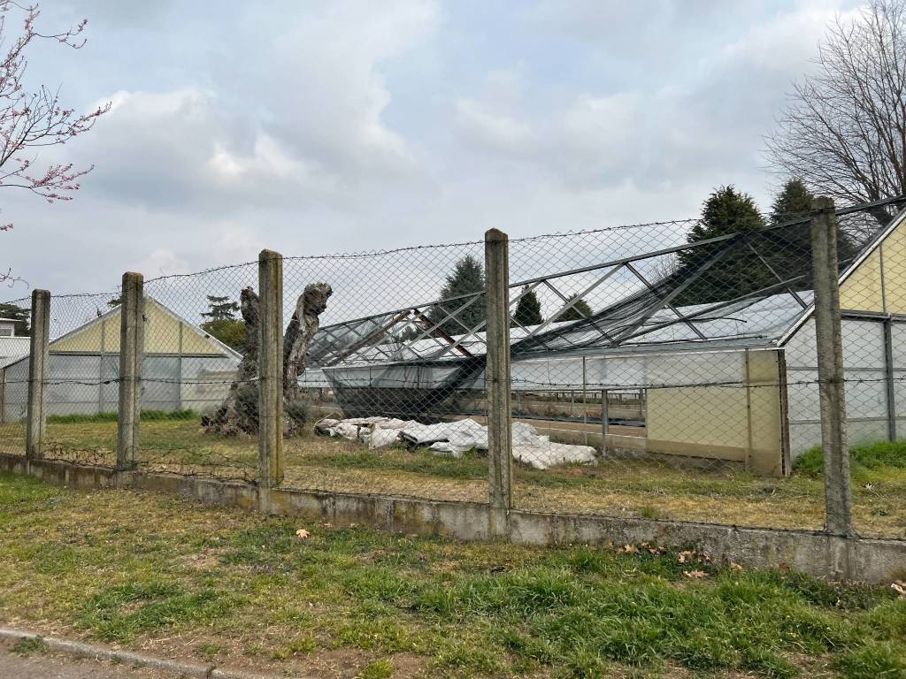 madonna regina busto arsizio