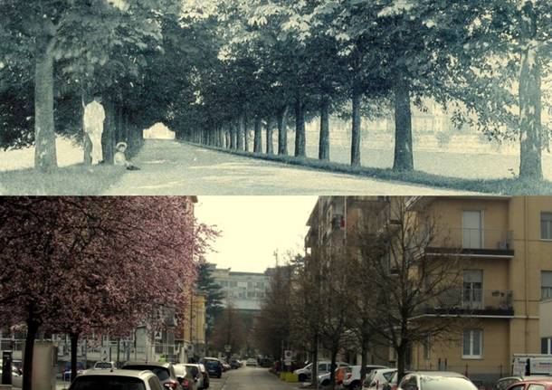 Metamorfosi urbana a Varese: via Tamagno, dall’armonia alla dissonanza edilizia