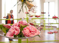 mostra delle camelie