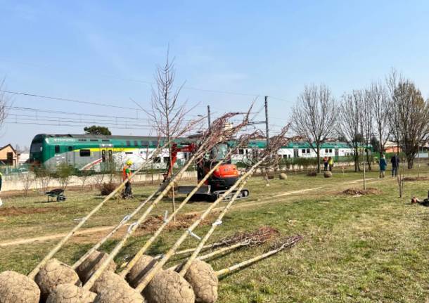 Piantalalì, l'intervento di FNM e Trenord a Cormano