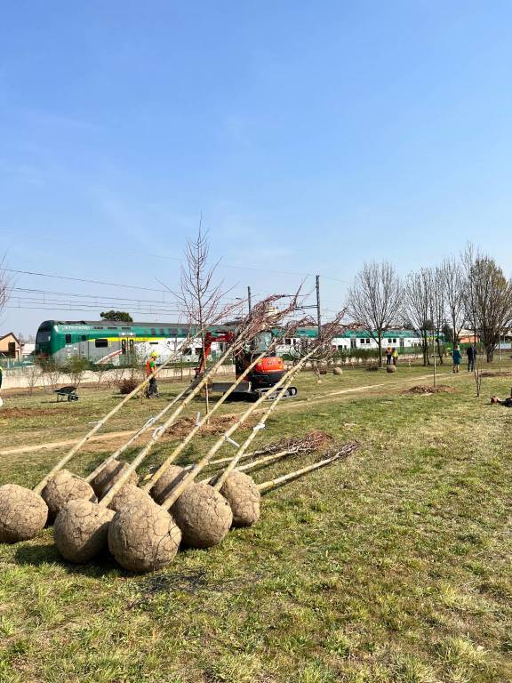 Piantalalì, l'intervento di FNM e Trenord a Cormano