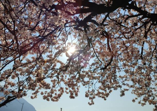 Primavera a Caldè