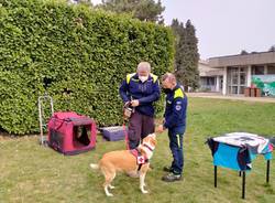 Ritorna il progetto Pet Therapy  a Legnano