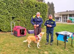 Ritorna il progetto Pet Therapy  a Legnano