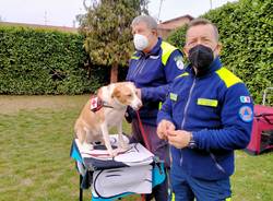 Ritorna il progetto Pet Therapy  a Legnano