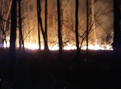 Rogo nel Parco delle Groane alle porte di Saronno