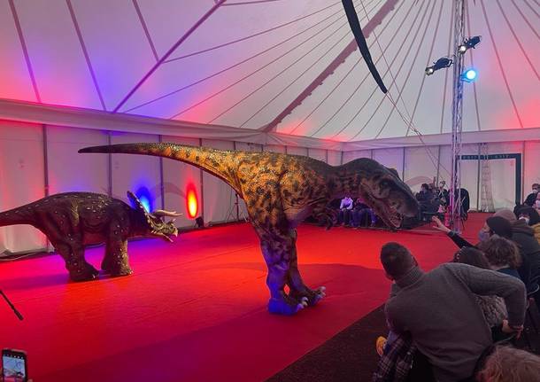 spettacolo dinosauri auditori somma lombardo