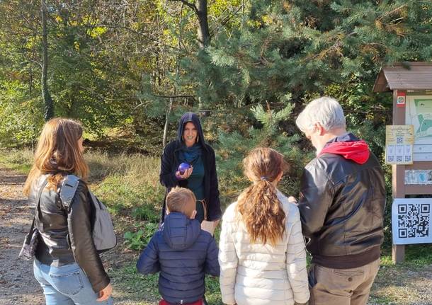 Un librogioco nel parco Pineta per conoscerlo divertendosi