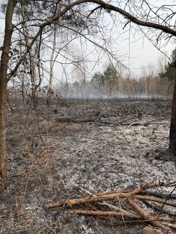 Vigili del Fuoco nei parchi Alto Milanese e Groane