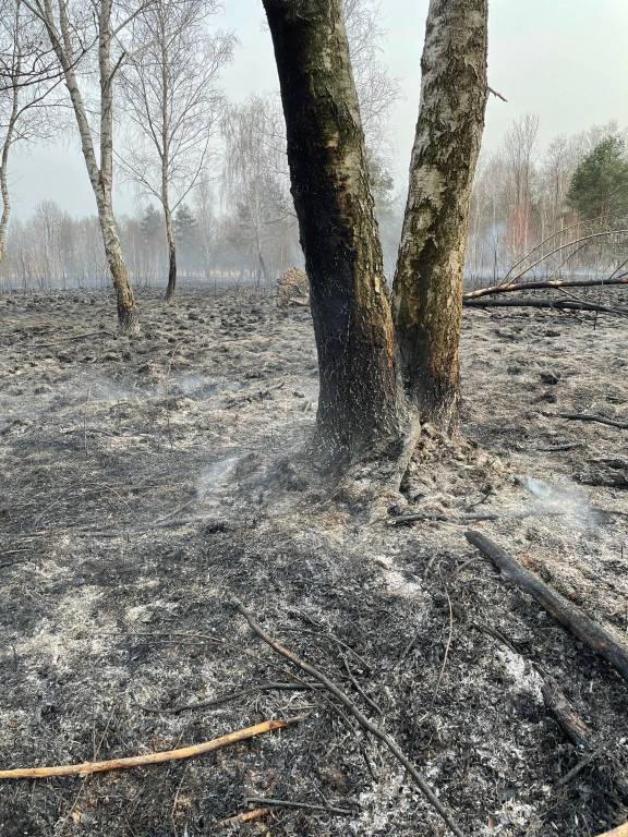 Vigili del Fuoco nei parchi Alto Milanese e Groane