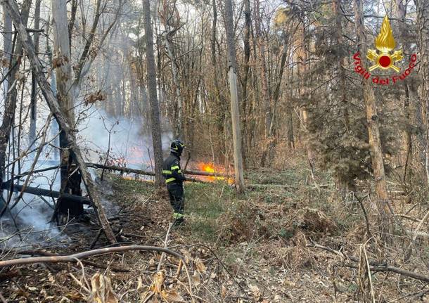 Vigili del fuoco varie